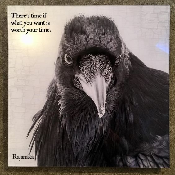 Worthy Crow